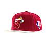 NBA 75TH PLATINUM SNAPBACK HEAT
